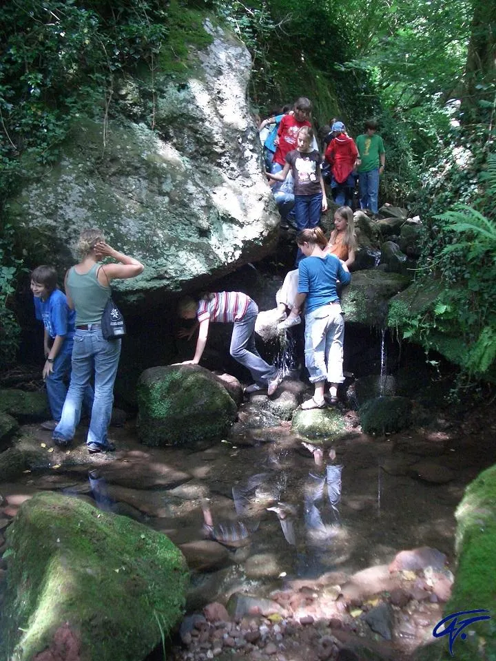 Eine Gruppe klettert in einer Felsschlucht über Steine an einem Bach