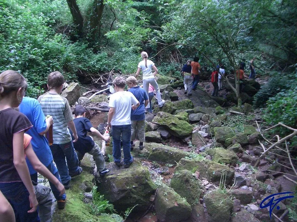 Eine Gruppe klettert über bemooste Felsen an einem Bachlauf im Wald