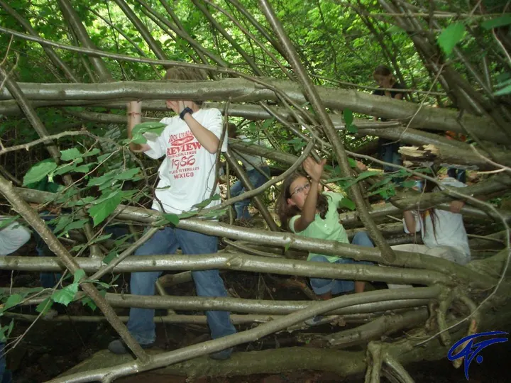 Kinder bauen im Wald aus langen Ästen und Zweigen ein Gebilde