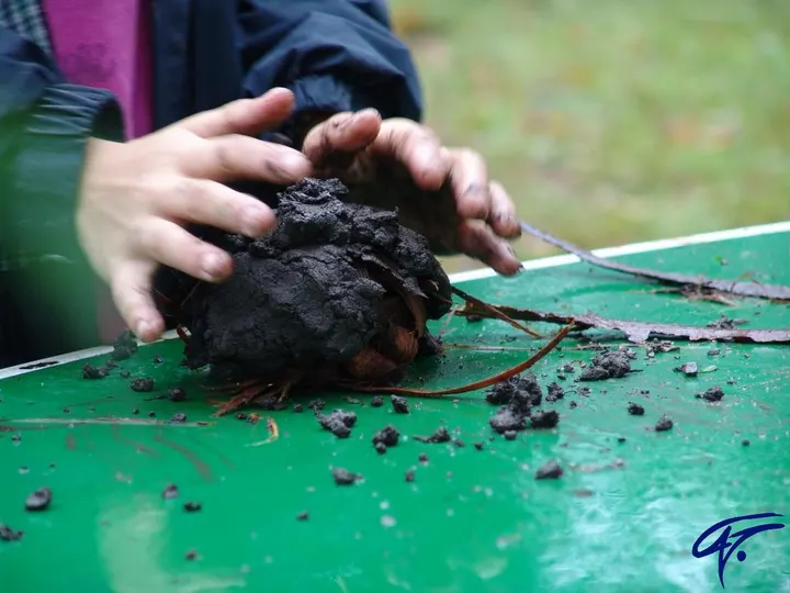 Kinderhände formen auf einem Tisch eine Kugel aus feuchter Walderde