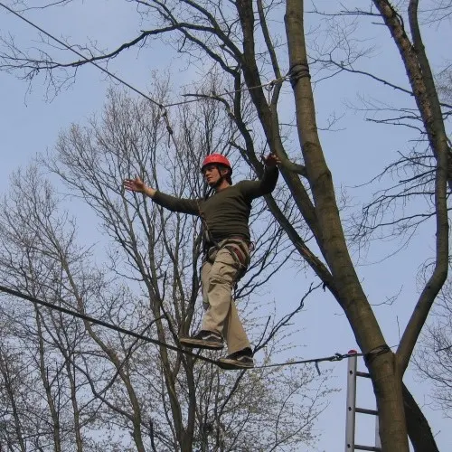 Ein Teilnehmer mit Helm balanciert hoch zwischen kahlen Bäumen über ein Seil