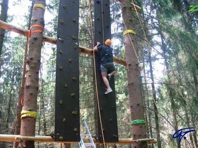 Ein Kind klettert an einer Kletterwand zwischen hohen Bäumen in Dürscheid