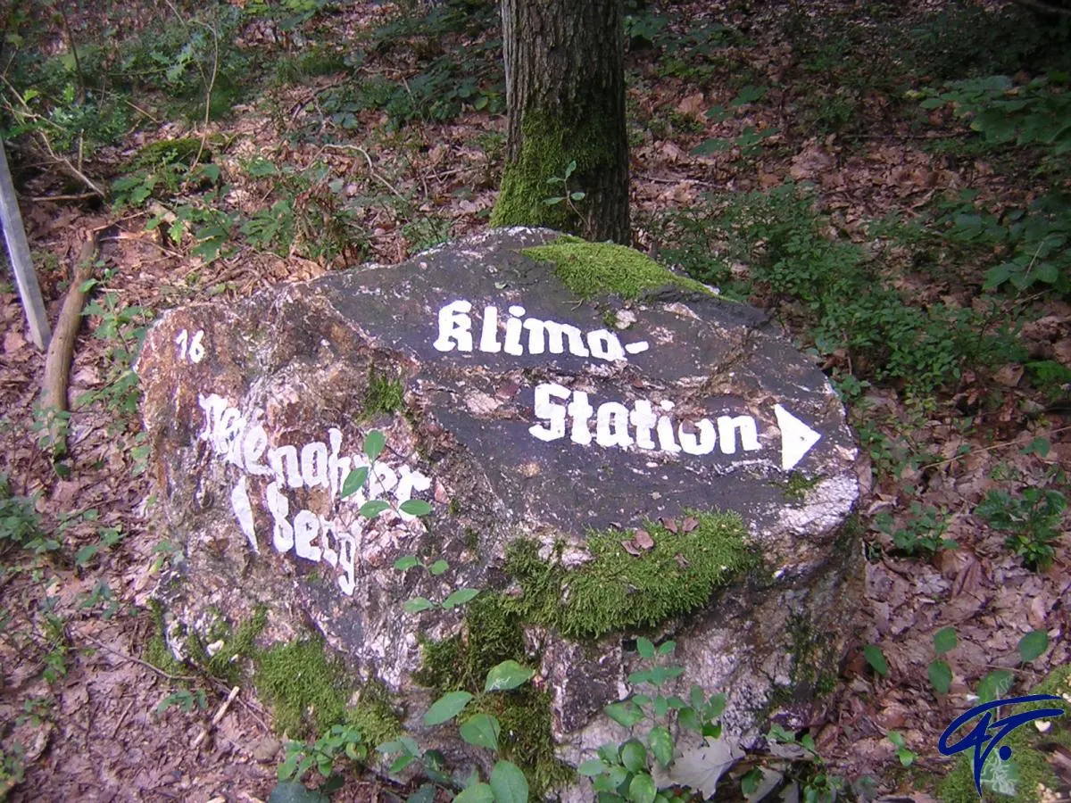 Ein bemooster Stein im Wald mit der Aufschrift „Klima-Station“ und einem Pfeil