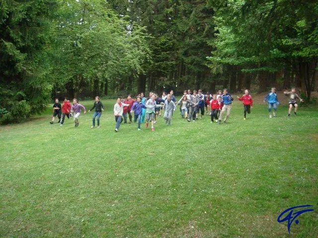 Eine große Gruppe Kinder rennt über eine Wiese am Waldrand